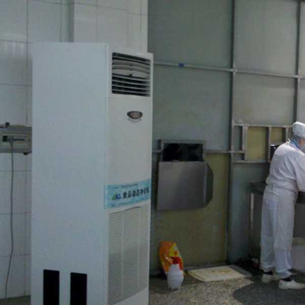 河北食品正负离子空气杀菌器